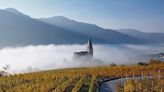 Uncorked: Where should I start with Austrian natural wine?