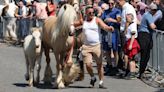 Wickham Horse Fair 2024: Travellers flock to UK town for 800-year-old tradition
