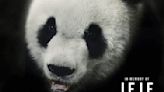 Le Le the Giant Panda from Memphis Zoo Dead at 25: 'Le Le Was a Happy Bear'