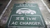 Bain-Backed Chinese EV Services Firm NewLink Seeks Private Loan