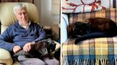 Missing cat gives owners surprise finally returning home - after three years