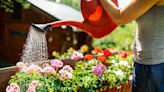 Here's How You Can Protect Your Garden From Extreme Heat This Summer