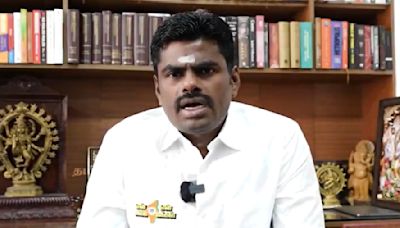 Tamil Nadu Electricity Tariff Hike: Here's What BJP Chief Annamalai Says