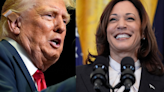 RFK Jr Spoiling Donald Trump's Chances Against Kamala Harris: New Poll