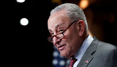 Schumer and Senate Democrats call for Justice Department to probe Big Oil for alleged collusion