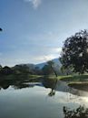 Taiping Lake Gardens