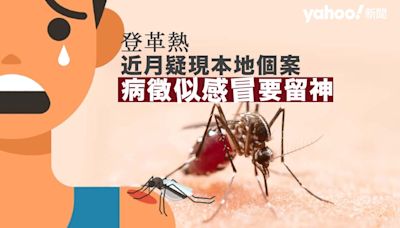 登革熱︱近月疑現本地個案 病徵似感冒要留神 戶外遊玩做足防蚊措施