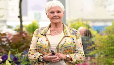 Where Does Judi Dench's Career Stand at the Moment; Here's What You Need to Know