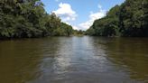 Schuylkill County Conservancy partners with Schuylkill River Greenways