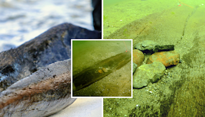 Ancient canoes submerged in Wisconsin lake suggest lost village