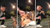 Un perro le mordió la mano a un periodista en vivo y el video se hizo viral en las redes sociales