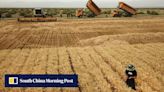 China food security: rice growth cycle scythed in half in harsh Xinjiang desert