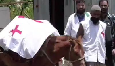 Amarnath Yatra: J-K Launches 'Pony Ambulance' Service To Provide Emergency Medical Support To Pilgrims