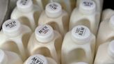 Drinking raw milk may bring risk of bird flu, OHA warns
