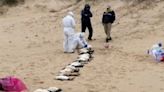 海岸漂來「2000具屍體」！麥哲倫企鵝「呈空腹狀態」大量死亡 專家揭內幕：相當罕見