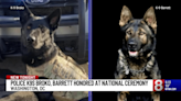 2 Connecticut Police dogs honored by the National Police Dog Foundation in Washington D.C.