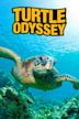 Turtle Odyssey