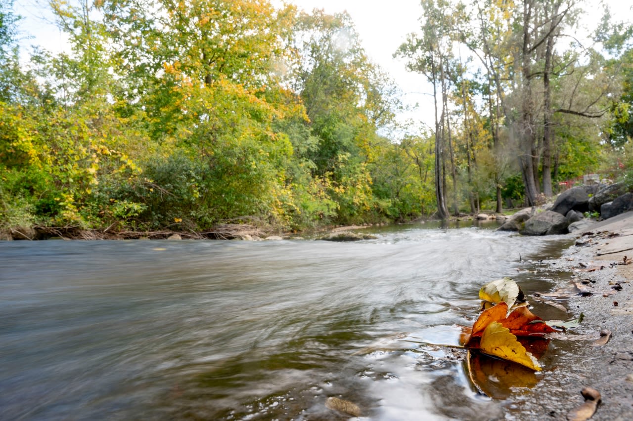 Renewal of parks and recreation millage on Washtenaw County ballot in August election