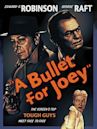 A Bullet for Joey