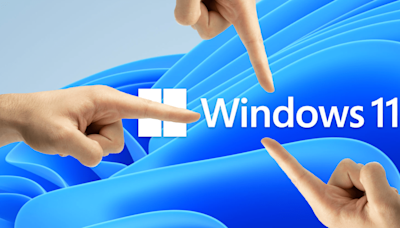 Don't fall for the no-bloat 'government' version of Windows 11