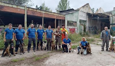 Héroes de cuatro patas: 'Son ágiles, fuertes, valientes, inteligentes y con buena disposición'