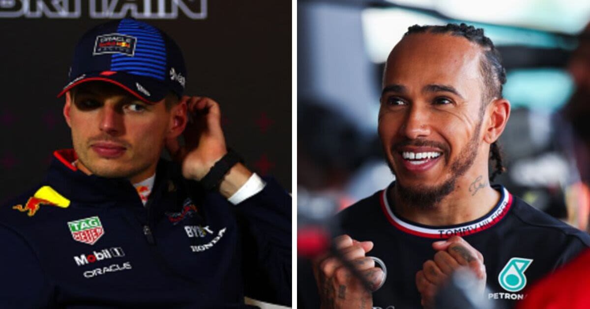 Max Verstappen reaction to Lewis Hamilton winning British Grand Prix says it all