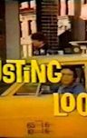 Busting Loose (TV series)