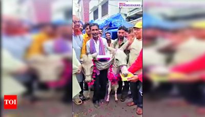 Big Fat Wedding of Donkeys in Chhatarpur for Rain God | Bhopal News - Times of India