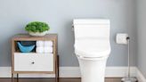 These Smart Toilets Can Tell if You’re Sick