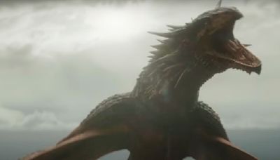 All Dragons Seen In House Of The Dragon So Far; From Vhagar To Vermithor