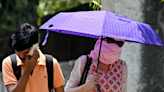 Delhi’s month-long battle with heatwaves continues as heat index soars past 50°C; monsoon nowhere in sight | Business Insider India