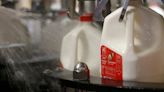 School Cafeterias Might Serve Whole Milk Again