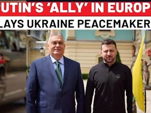 Putin’s Europe Ally Viktor Orban Pitches Ceasefire In Ukraine Visit, Zelensky Aide Says… | Watch