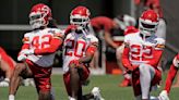 Chiefs' Thornhill seeks to fill Honey Badger's void