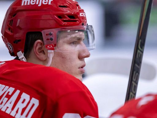 What I saw at the Red Wings prospect games: Michael Brandsegg-Nygård hits ground running