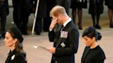 Voices: The detail in the Harry and William revelations everyone is missing