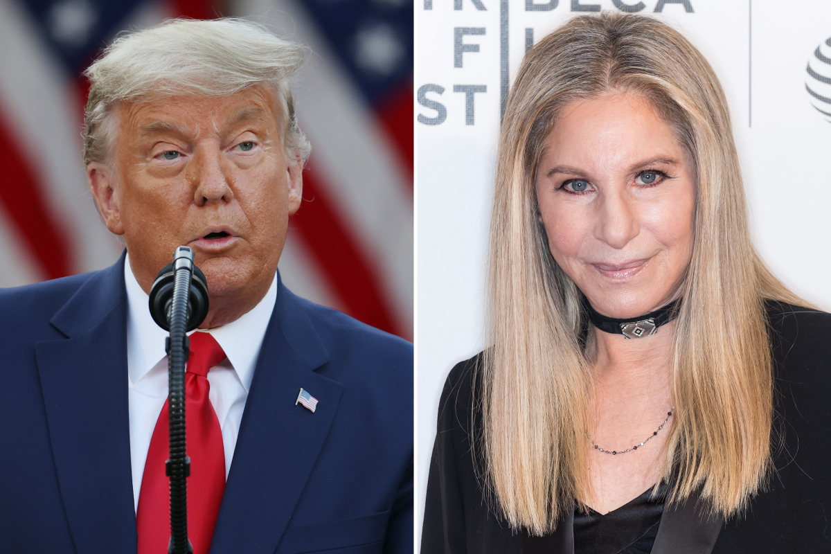 Barbra Streisand's Donald Trump "bragging" post takes off online