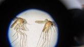 Watch out for mosquitoes: Delaware announces first human West Nile virus case of the year