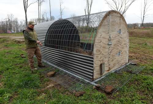 Stonington farm owner fighting to restore locally extinct bird