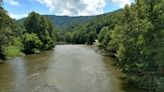 Falling tree kills wife canoeing on river, injures husband and a child, NC officials say