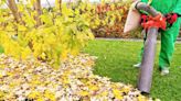Do You Really Need a Leaf Blower Vacuum?
