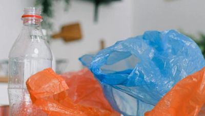 Adiós a las bolsas de plástico: maneras de evitar su consumo y reducir su presencia en casa