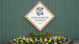 What are the horses' numbers in the 2024 Preakness Stakes?