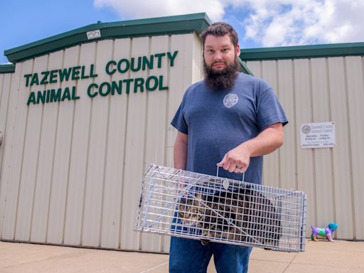 Feral cats are a problem in this central Illinois county. Here's how they're handling it