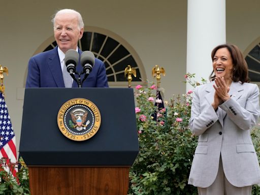 Joe Biden y Kamala Harris revelan sus finanzas y con ellas, sus intereses personales - La Opinión