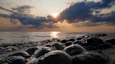 There's a growing conflict over horseshoe crab blood harvesting. Find out why.