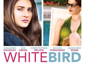 White Bird