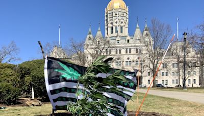 Director of CT social equity council handling cannabis cash resigns