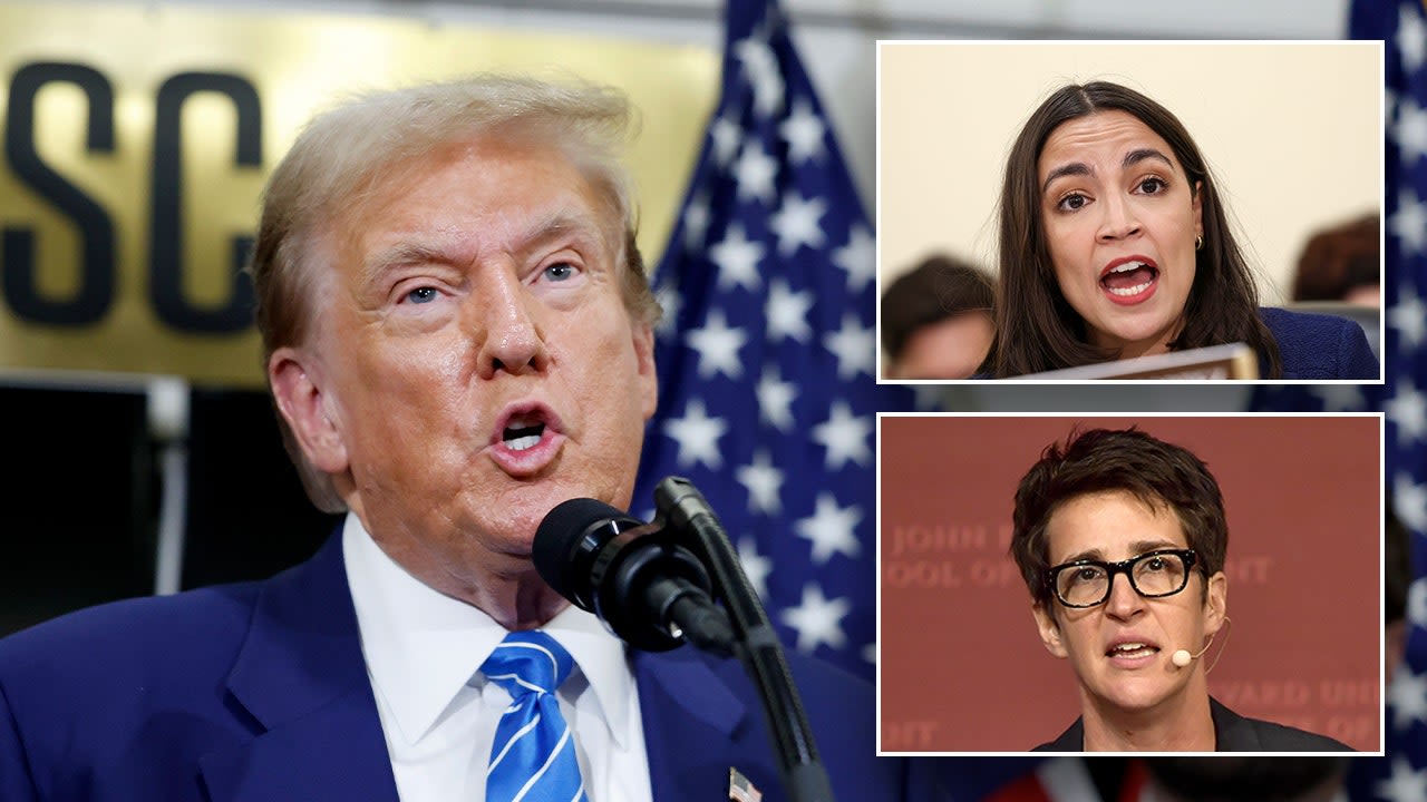 Freakout: Liberal media pundits, Democratic lawmakers worry Trump will throw them in jail, 'massive camps'