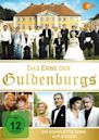 Das Erbe der Guldenburgs